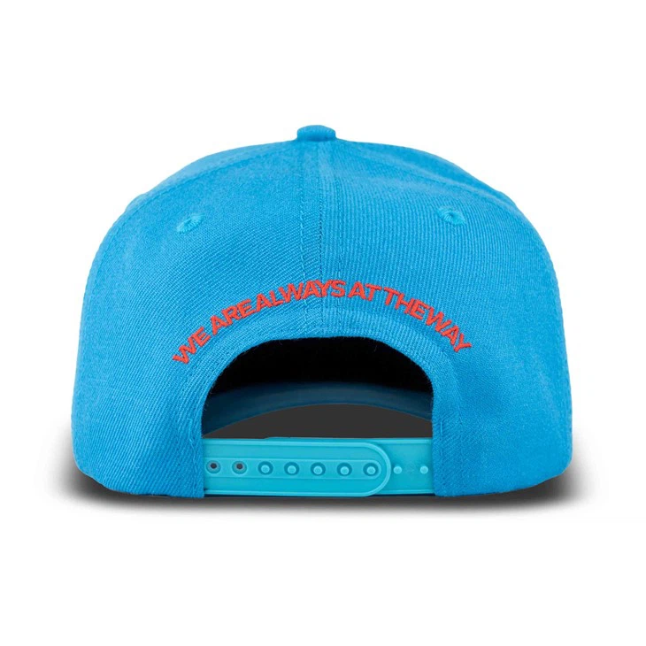 TCAP Custom Blue Baseball Hats Embroidery Cotton Hats Sport Caps